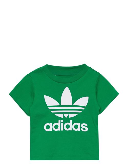 Trefoil Tee Adidas Originals Green