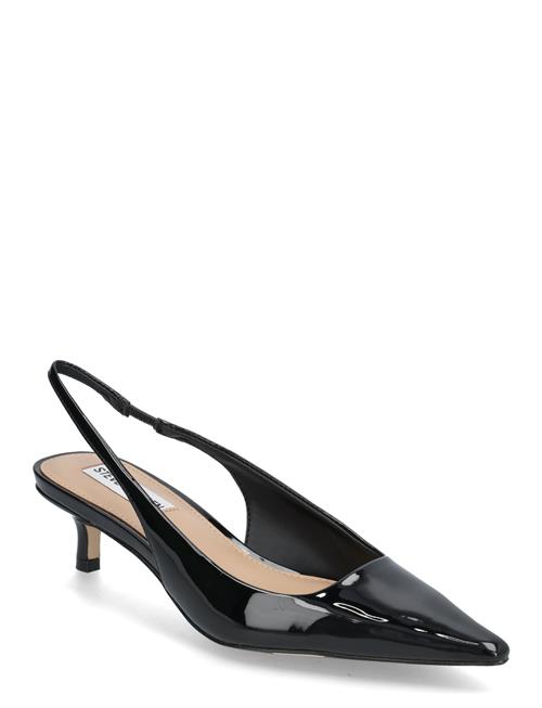 Se Steve Madden Kari Slingback Steve Madden Black ved Booztlet