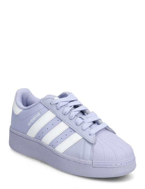 Se adidas Originals Superstar Xlg W Adidas Originals Purple ved Booztlet