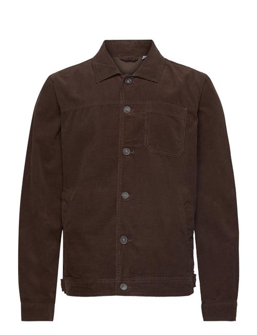 Corduroy Overshirt Lindbergh Brown