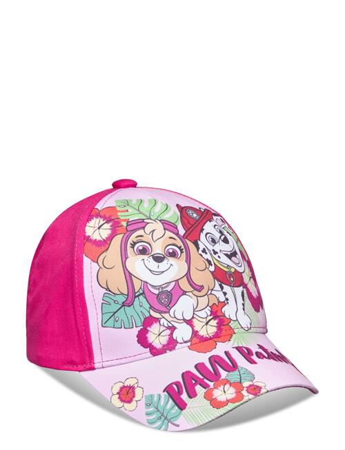 Se Paw Patrol Cap In Sublimation Paw Patrol Pink ved Booztlet