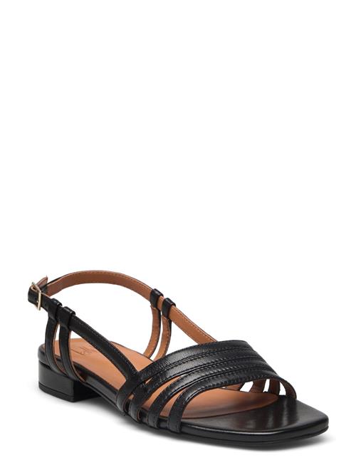 Billi Bi Sandals Billi Bi Black