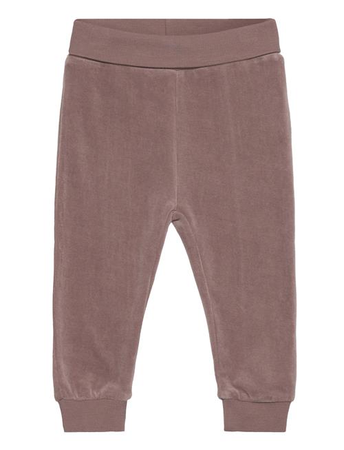 Fixoni Pants Velour Fixoni Brown