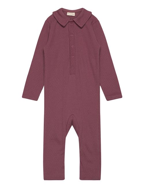 Fixoni Romper Ls Rib Fixoni Burgundy