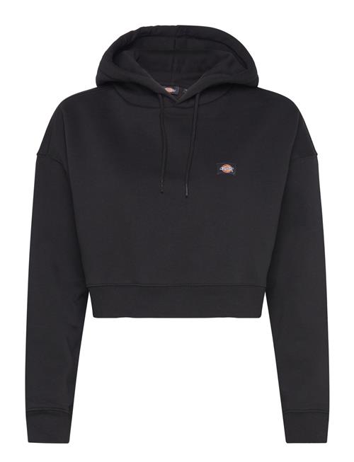 Oakport Cropped Hoodie W Dickies Black