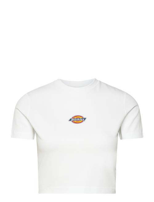 Dickies Maple Valley Tee Dickies White