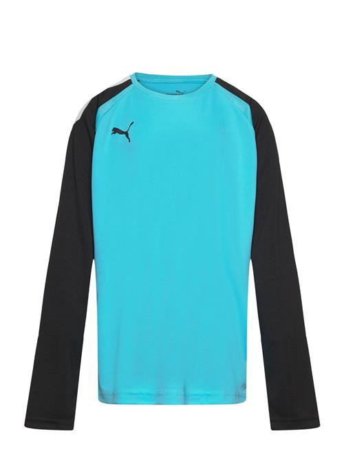 PUMA Teampacer Gk Ls Jersey Jr PUMA Blue