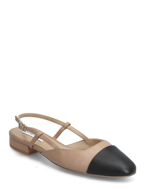 Se Steve Madden Belinda Ballerina Steve Madden Beige ved Booztlet