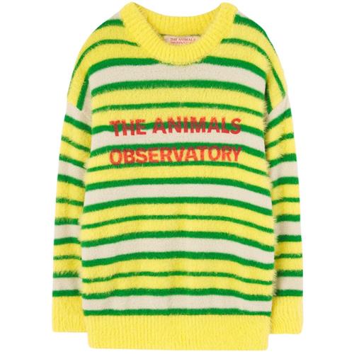 The Animals Observatory STRIPES BULL Strikket trøje Yellow | Gul | 3 years