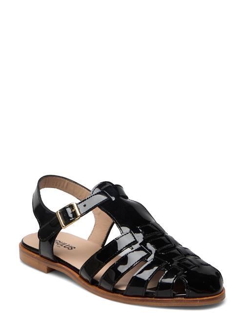 ANGULUS Sandals - Flat - Closed Toe - Op ANGULUS Black