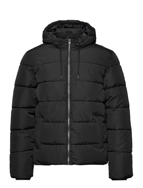 ONLY & SONS Onsmelvin Life Hood Puffer Jacket Otw Vd ONLY & SONS Black