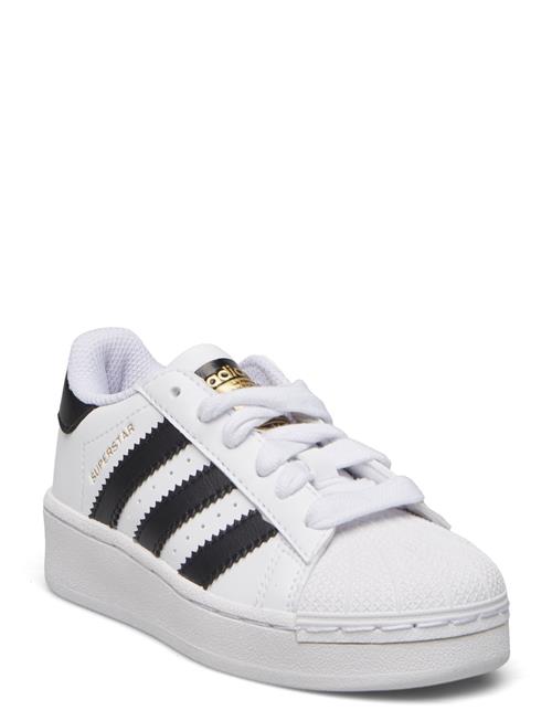 adidas Originals Superstar Xlg C Adidas Originals White