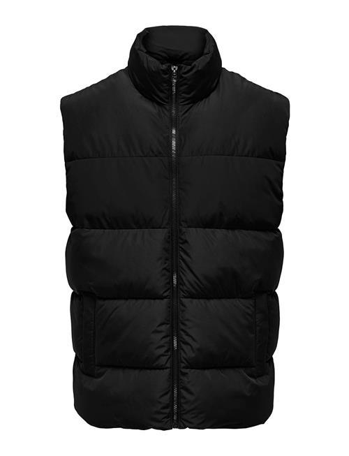 ONLY & SONS Onsmelvin Life Puffer Vest Otw Vd ONLY & SONS Black