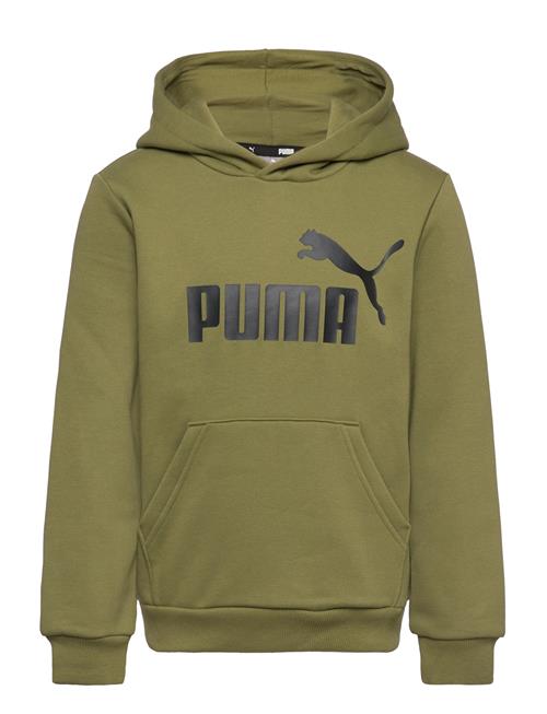 Se PUMA Ess Big Logo Hoodie Fl B PUMA Green ved Booztlet