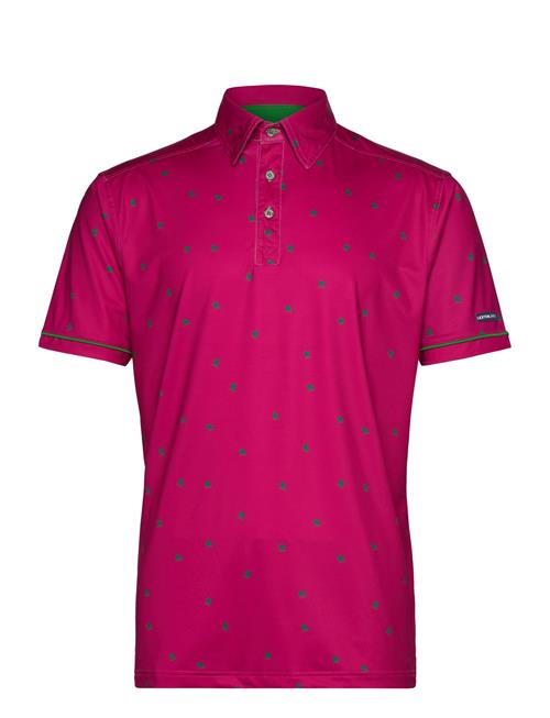 Carnaby Polo Lexton Links Pink