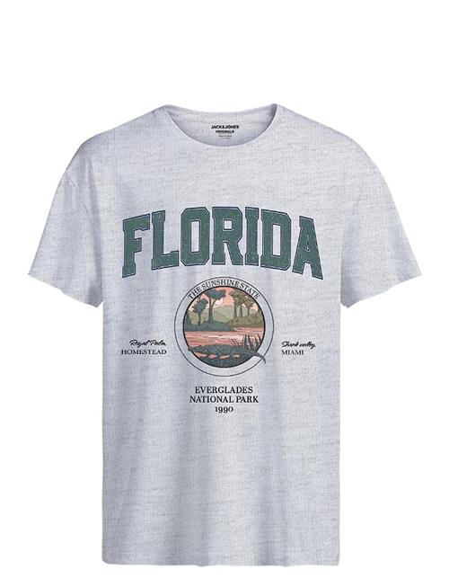 Se Jack & Jones Jorbradley Usstate Tee Ss Stmss24 Jack & J S Grey ved Booztlet