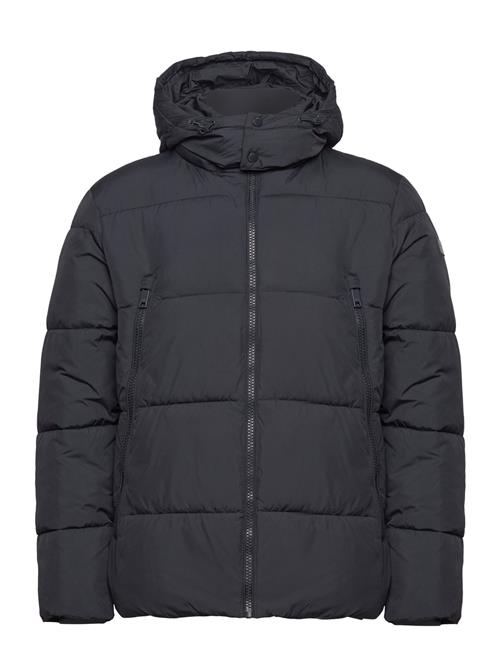 Casual Friday Cfwilson 0085 Short Puffer Jacket Casual Friday Navy