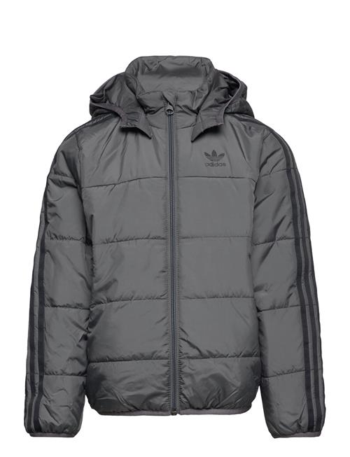 adidas Originals Padded Jacket Adidas Originals Grey