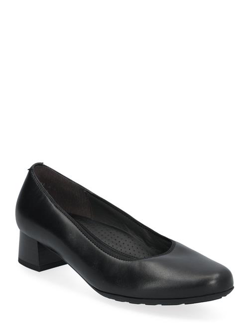 Gabor Pumps Gabor Black