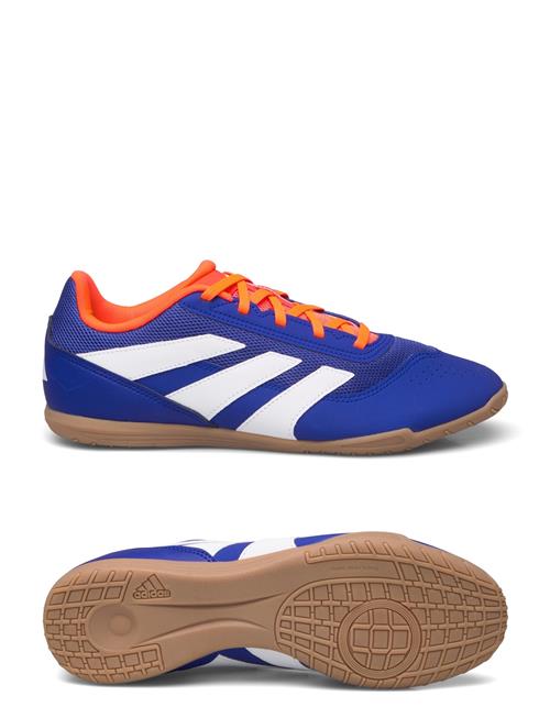 adidas Performance Predator Club Football Boots Indoor Sala Adidas Performance Blue