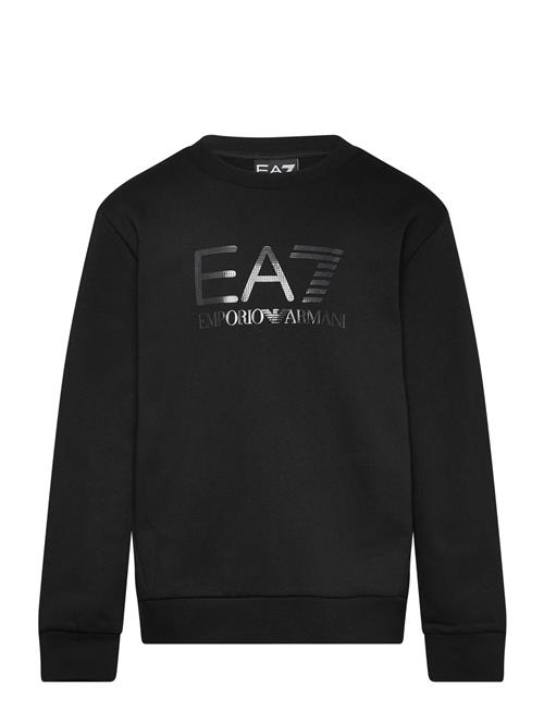 Se EA7 Sweatshirt EA7 Black ved Booztlet