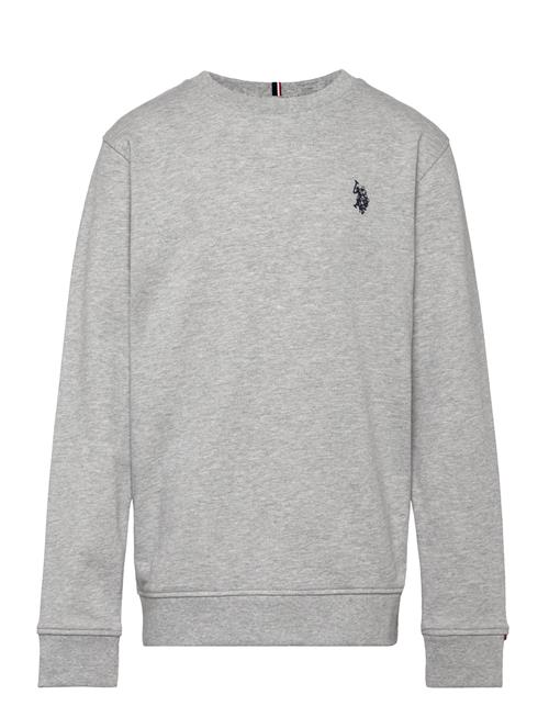 U.S. Polo Assn. Dhm Lb Crew U.S. Polo Assn. Grey