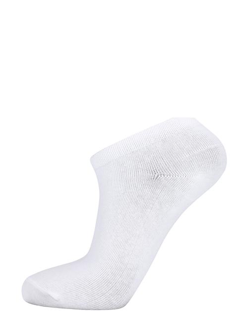 Se Athlecia Daily Sustainable Low Cut Sock 3-Pack Athlecia White ved Booztlet