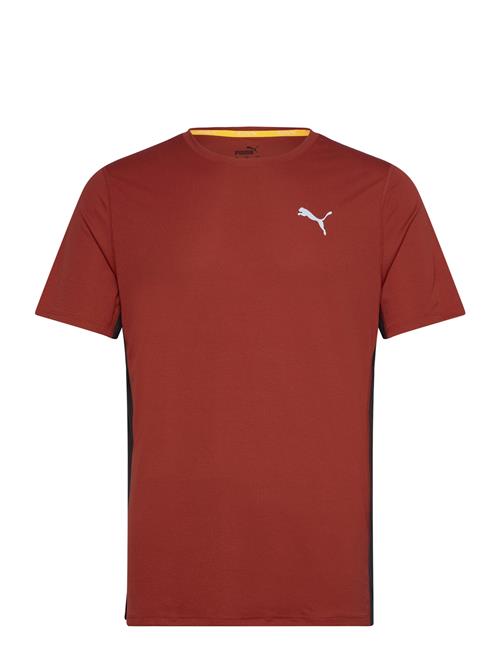 Se PUMA Run Favorite Velocity Tee PUMA Burgundy ved Booztlet