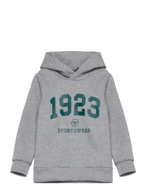 Se Hummel Hmlnipps Hoodie Hummel Grey ved Booztlet