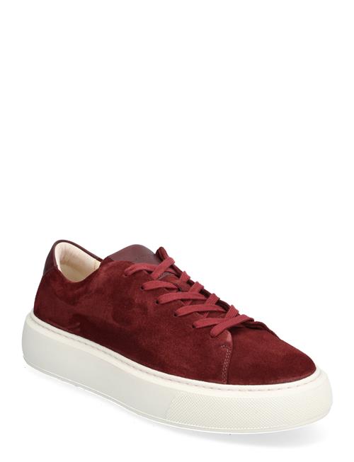 Starlight U Suede Petrol Sneaky Steve Burgundy