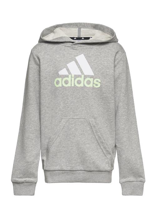 adidas Performance U Bl 2 Hoodie Adidas Performance Grey