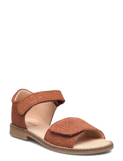 Wheat Tasha Sandal Wheat Brown