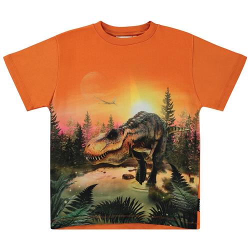 Se Molo GOTS Riley T-shirt Dino Lake | Orange | 92 cm ved Babyshop