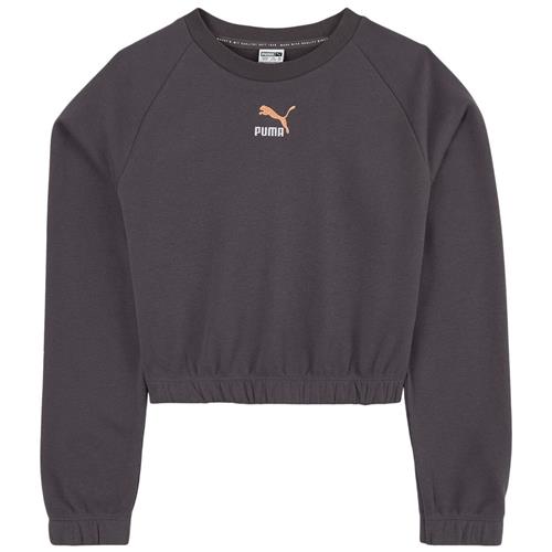 Puma Logo Crop Sweatshirt Grå | Grå | 3-4 years