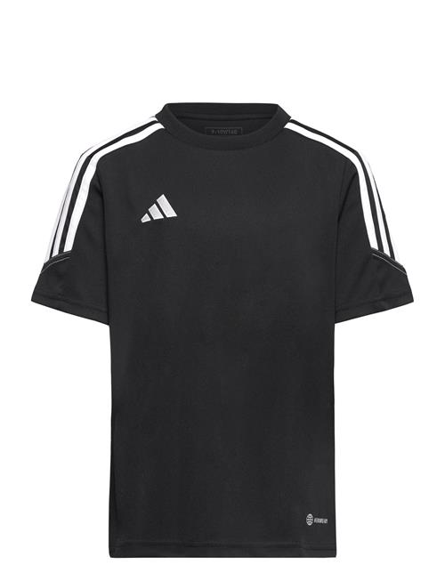 Se adidas Performance Tiro23 Cbtrjsyy Adidas Performance Black ved Booztlet