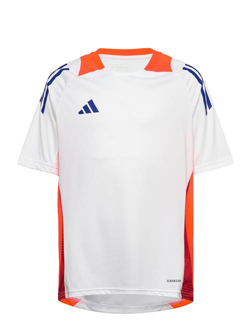 adidas Performance Tiro24 C Trjsyy Adidas Performance White