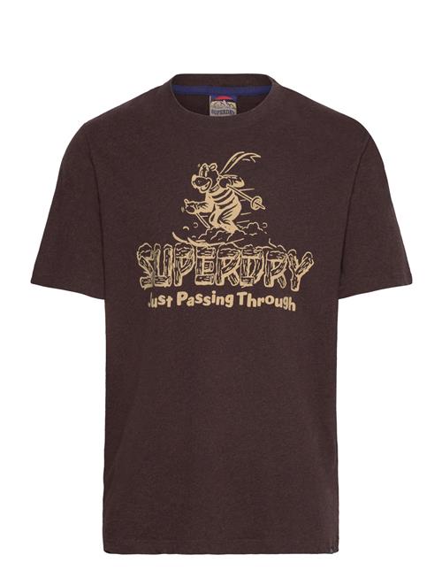 Se Superdry Travel Postcard Graphic Tee Superdry Brown ved Booztlet