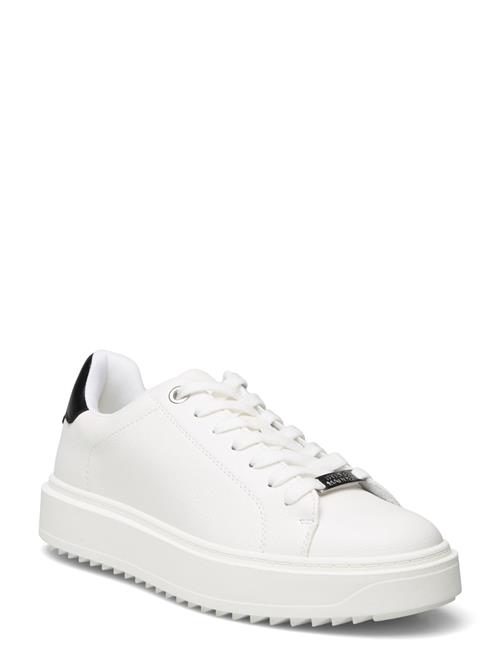 Catcher Sneaker Steve Madden White