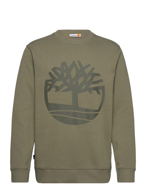 Se Timberland Kennebec River Tree Logo Crew Neck Sweatshirt Cassel Earth/Grape Leaf Timberland Green ved Booztlet