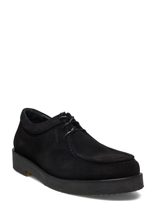 ANGULUS Shoes - Flat - With Lace ANGULUS Black