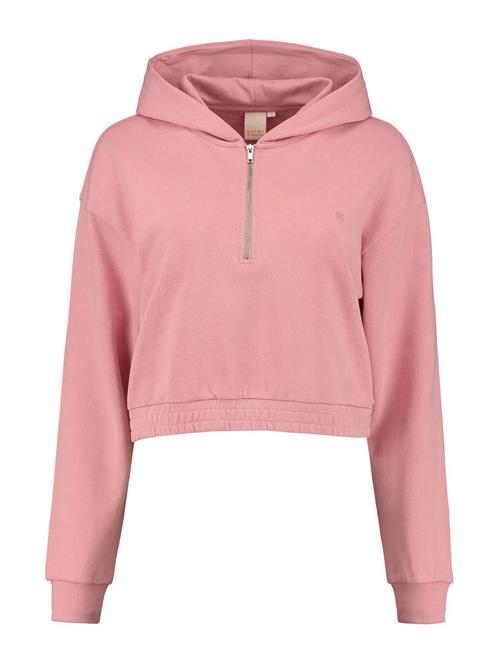 Se Shiwi Sweatshirt 'QUITO'  gammelrosa ved About You