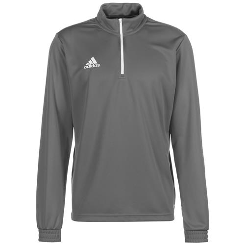 Se ADIDAS PERFORMANCE Sportsweatshirt 'Entrada 22'  grå / hvid ved About You