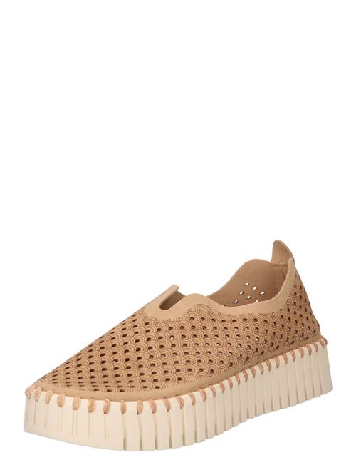 ILSE JACOBSEN Sneaker low  brun