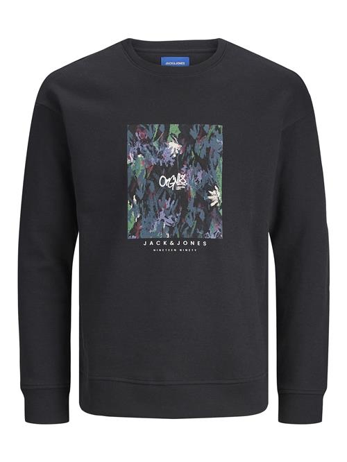 Jack & Jones Junior Sweatshirt 'Silverlake'  grøn / bær / sort / hvid