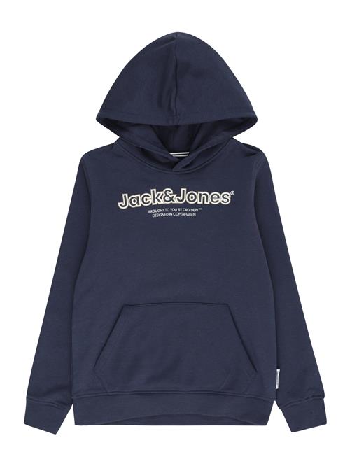 Jack & Jones Junior Sweatshirt 'Lakewood'  navy / lysegrå / hvid