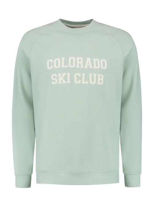 Shiwi Sweatshirt  mint / hvid