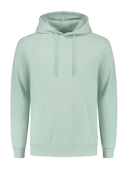 Shiwi Sweatshirt  mint