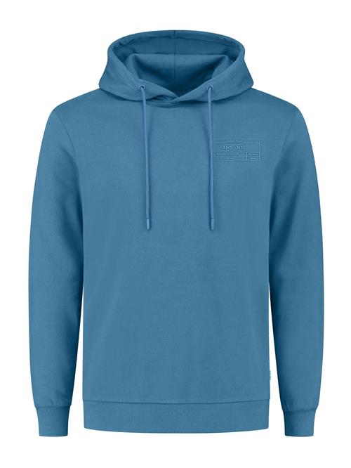 Shiwi Sweatshirt  lyseblå