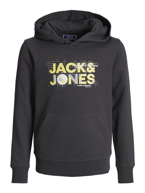 Jack & Jones Junior Sweatshirt 'Dust'  lysegul / grå / antracit / hvid