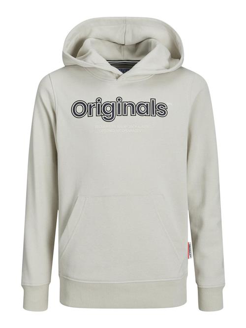 Se Jack & Jones Junior Sweatshirt 'JNRLakewood'  beige / grå ved About You